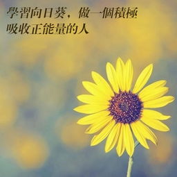 一定要和正能量的人在一起的句子,和正能量的人在一起句子經(jīng)典語(yǔ)句,多和正能量的人在一起的句子