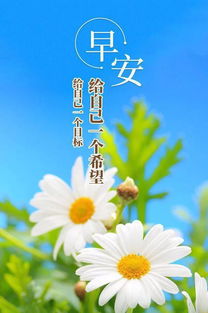 月初正能量的句子早安