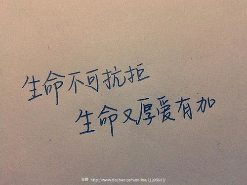 周六快樂(lè )正能量的句子,傳遞快樂(lè )正能量的句子,描寫(xiě)勞動(dòng)快樂(lè )正能量的句子