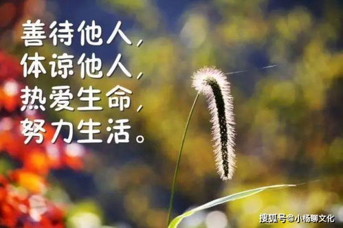 早安,句子,勵志,能量