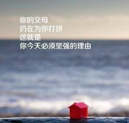 句子,能量,傳播,微商正