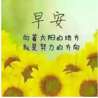 天冷正能量句子早安
