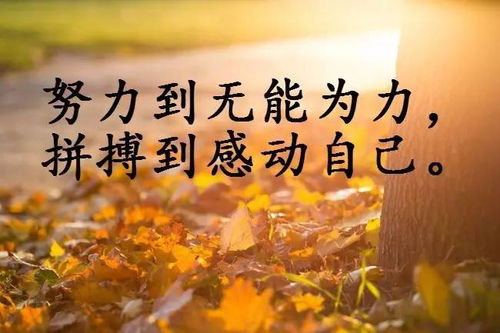 基層干部正能量句子