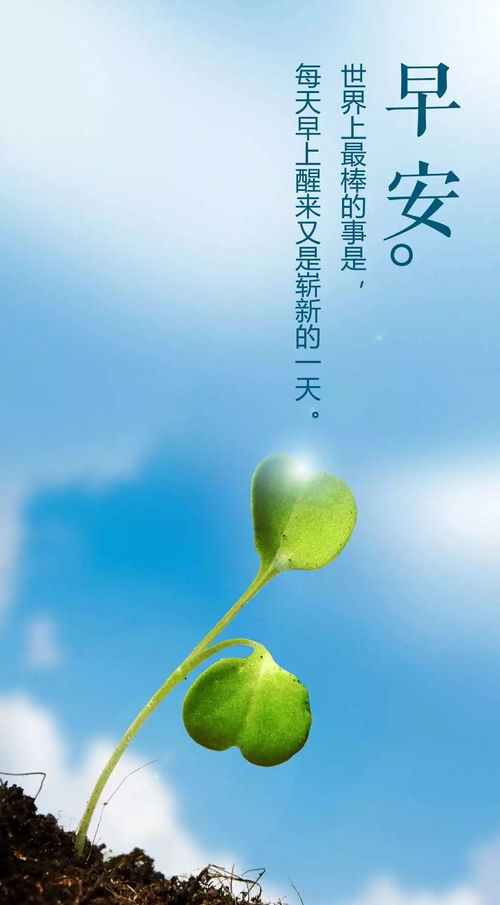 早安加油努力的正能量句子,早安加油努力的正能量句子簡(jiǎn)短,早安勵志正能量的句子