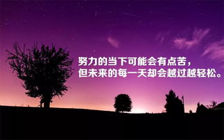 女強人正能量的句子經(jīng)典語(yǔ)句