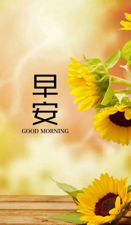 句子,能量