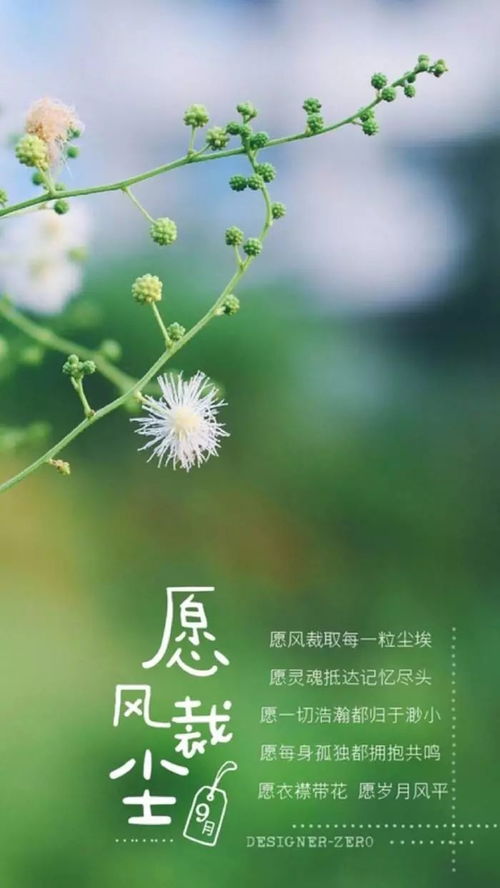 努力生活正能量的說說心情短語,努力奮斗的句子說說心情短語,生活努力句子說說心情短語