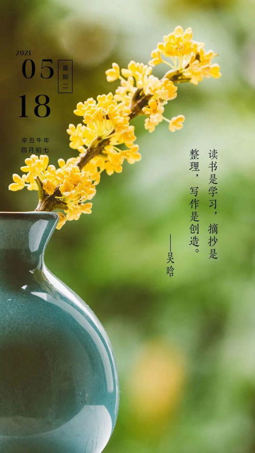 問(wèn)候早安的句子正能量