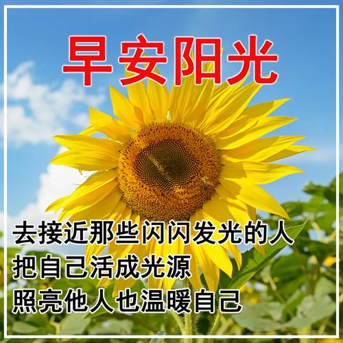 早上問好句子祝福正能量