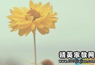 正能量唯美句子摘抄