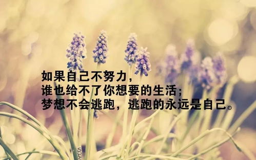 句子,能量,做人