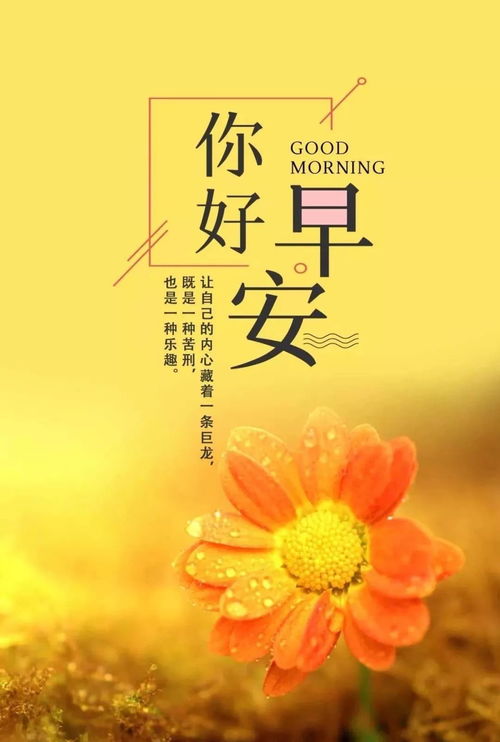 晚間,句子,語(yǔ)句,能量