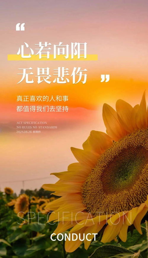 早安,句子,語(yǔ)錄,能量