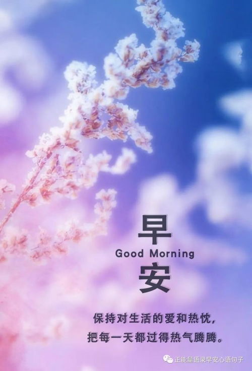 上進(jìn),句子,激勵,能量