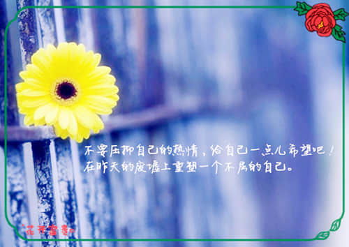 安慰狼狽正能量的句子,安慰姑娘的正能量句子,安慰正能量的句子經(jīng)典語(yǔ)句