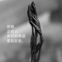熱愛祖國正能量的句子,陽光正能量的句子,晚安正能量句子