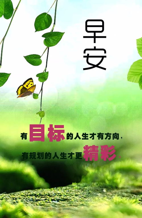 勵志早安心語(yǔ)正能量英文句子