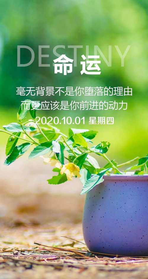 中秋節發(fā)朋友圈的祝福,中秋節晚上發(fā)朋友圈的正能量,正能量中秋節祝福詞