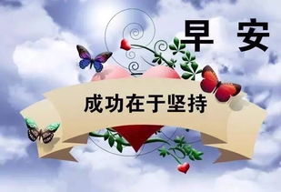 感恩節(jié),句子,能量,公司