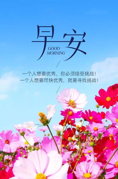 早安句子正能量簡(jiǎn)單,早安句子正能量圖文,早安正能量句子和