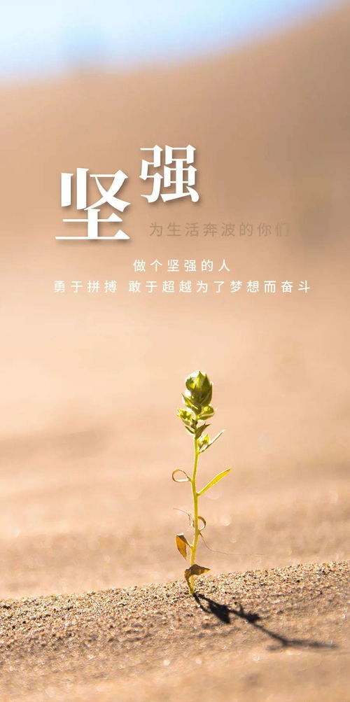 早安,句子,能量,冬天