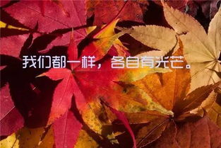 晚安好夢(mèng)的句子,一句話(huà)晚安好夢(mèng)的句子,晚安好夢(mèng)的唯美句子