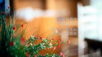 對孩子正能量的句子經(jīng)典語(yǔ)句,對孩子正能量的句子經(jīng)典語(yǔ)句發(fā)朋友圈,孩子運動(dòng)正能量的句子