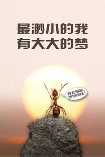 早晨正能量的句子簡(jiǎn)短