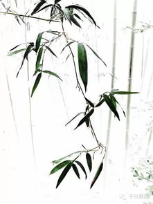 正能量的句子國學(xué)