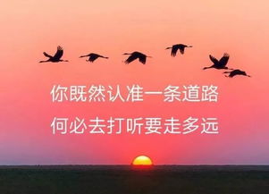 句子,能量,哲學(xué),人生