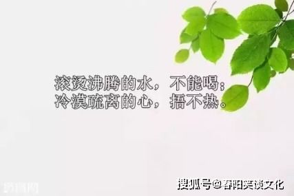 句子,朋友圈,能量,深夜