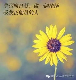 認真學(xué)習正能量句子