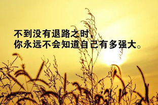 正能量家人句子