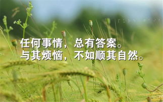 人生正能量勵志的句子感悟,正能量句子簡(jiǎn)短感悟,工作正能量句子簡(jiǎn)短感悟