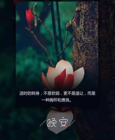 句子,能量,深夜,下雨