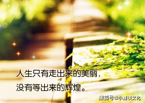 關(guān)于車(chē)的正能量句子,正能量滿(mǎn)滿(mǎn)的勵志句子,雨天幽默正能量的句子