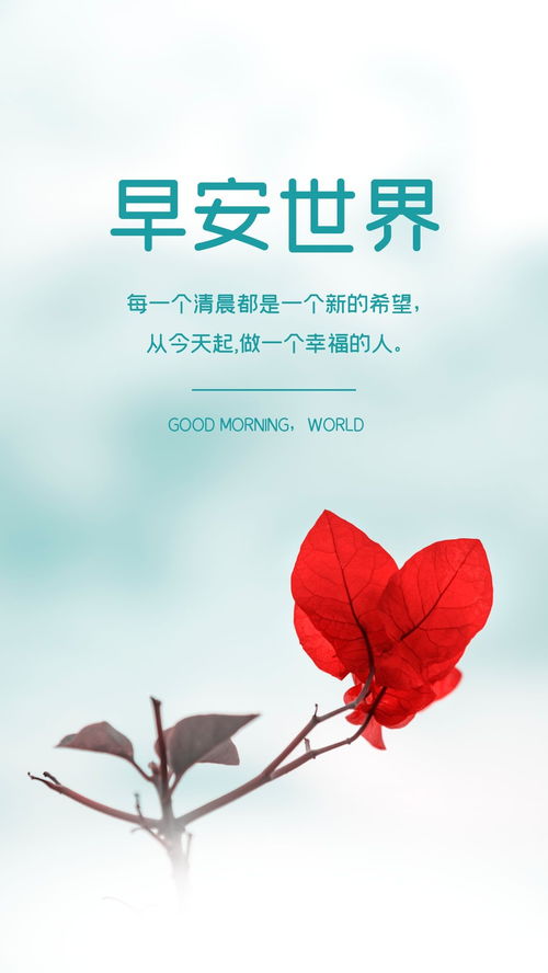 句子,能量,陽(yáng)光