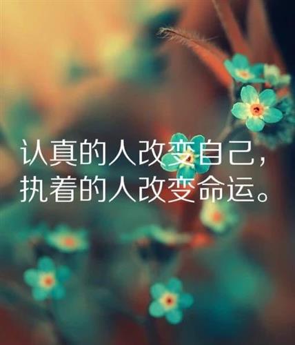 對生活積極向上正能量的句子,積極向上正能量的句子短句,形容積極向上正能量的句子