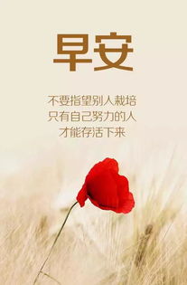 句子,能量,早晨,大全