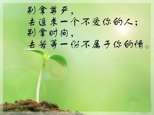 一個(gè)人正能量的句子說(shuō)說(shuō)心情短語(yǔ),正能量的句子說(shuō)說(shuō)心情短語(yǔ),感謝正能量的句子說(shuō)說(shuō)心情短語(yǔ)