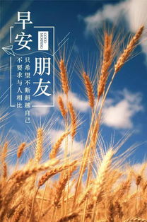 正能量圈早安的句子
