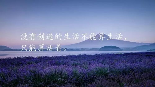 句子,勵志,能量,工作