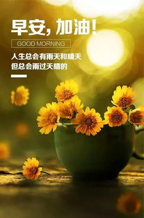 簡(jiǎn)短積極正能量早安句子
