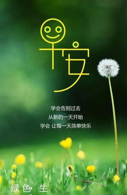 句子,能量,美好,開(kāi)心