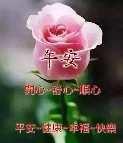 午安心語(yǔ)正能量句子,午安正能量句子勵志,午安問(wèn)候語(yǔ)正能量句子