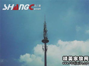 句子正能量100字左右