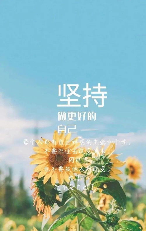 早安,句子,心語(yǔ),能量