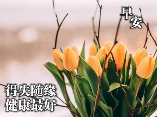 生病好心態(tài)的句子正能量
