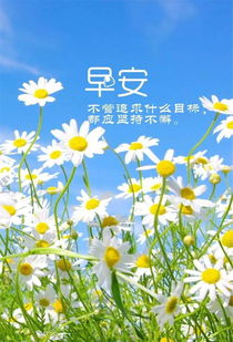 早安,句子,心語(yǔ),語(yǔ)錄