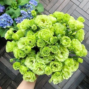 夜晚發(fā)給朋友正能量滿(mǎn)滿(mǎn)的句子